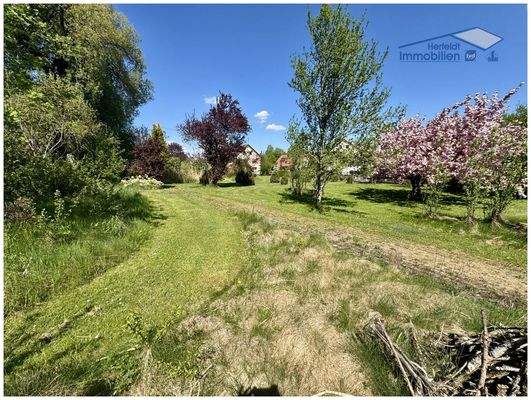 Lassen Sie sich verzaubern