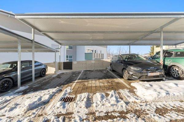 Löwen-Immobilien-Gartenwohnung-Anlegerwohnung-Eig