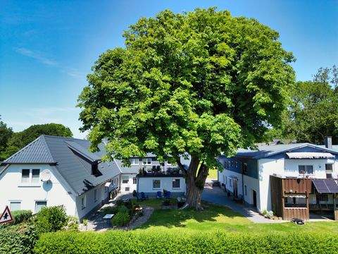 Stenderup Häuser, Stenderup Haus kaufen