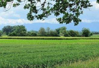 Kostenloser Blick ins Grüne.jpg