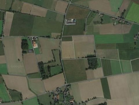 Lippetal Bauernhöfe, Landwirtschaft, Lippetal Forstwirtschaft