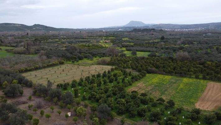 Kreta, Stilos: Charmantes ländliches Grundstück mit Bergblick zu verkaufen