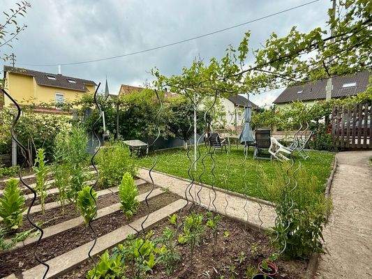 photo_2025-06-07_15-50-04