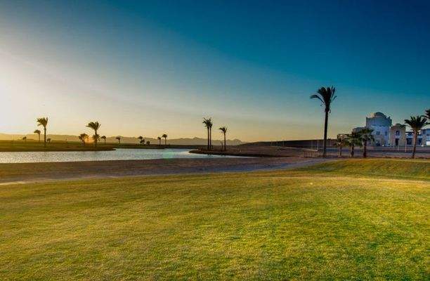 Screenshot 2025-10-09 120517.jpg