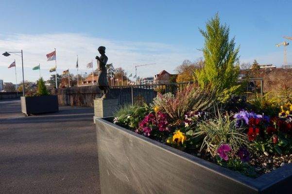 Rheinfelden - Foto ms kreativ