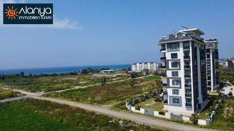 Alanya Wohnungen, Alanya Wohnung kaufen
