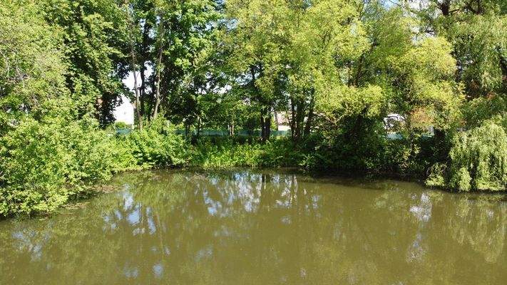 Blick vom Weiher auf GS-Ufer