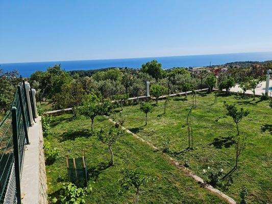 WhatsApp Image 2023-06-15 at 12.01.52 (1).jpeg