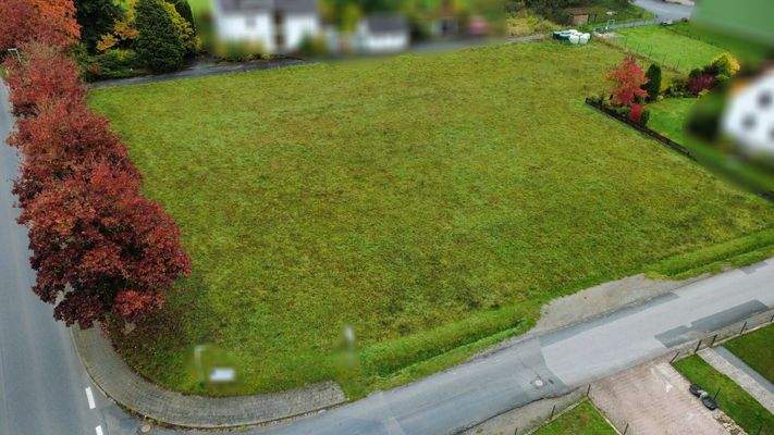 gesamtes Grundstück