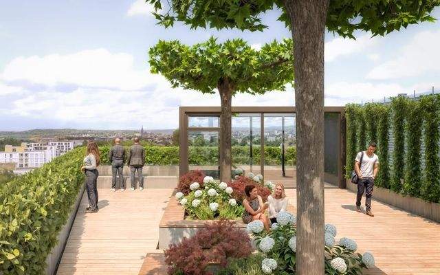 250612_IZR_VIVO3_Dachterrasse_Schirmbaum_Domblick_