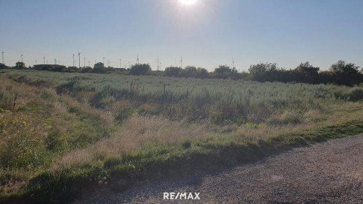 2.Landwirtschaftlicher Grund