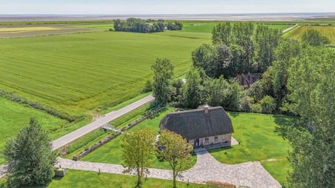 Grothusenkoog Häuser, Grothusenkoog Haus kaufen