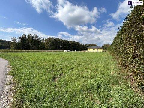 Wundschuh Grundstücke, Wundschuh Grundstück kaufen