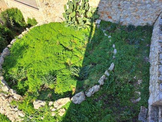 WhatsApp Image 2025-01-30 at 15.11.19_37d769ac.jpg