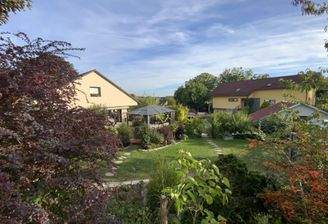 Blick über den Zaun III