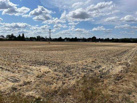 Ipsheim Bauernhöfe, Landwirtschaft, Ipsheim Forstwirtschaft