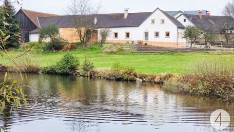 Wielings Bauernhöfe, Landwirtschaft, Wielings Forstwirtschaft