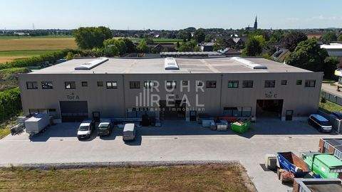 Willich Halle, Willich Hallenfläche