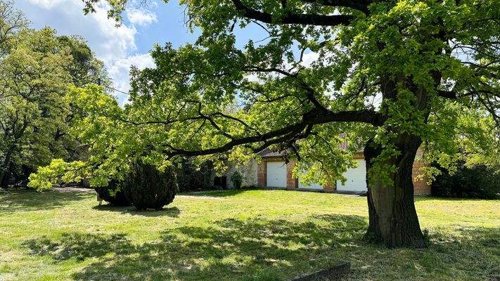 WhatsApp-kép, 2025-10-25, 10.58.46_4c198e29.jpg