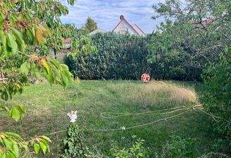Der Garten