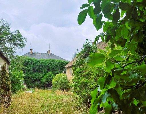 Anwesen im &quot;Dornröschenschlaf&quot;