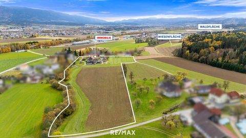 Reinfelsdorf Bauernhöfe, Landwirtschaft, Reinfelsdorf Forstwirtschaft