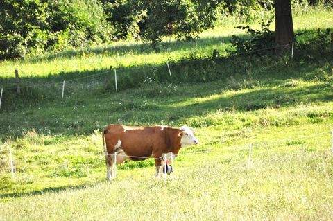 Gaimberg Grundstücke, Gaimberg Grundstück kaufen