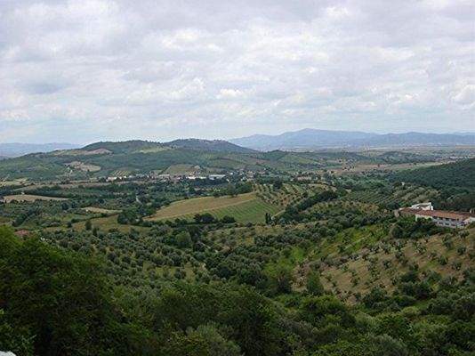 Blick vom Grundstück
