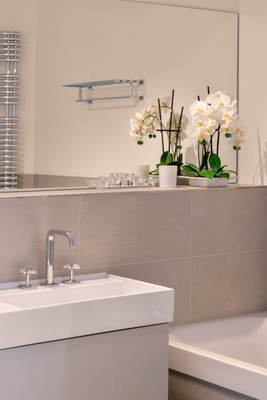 Details Master Bathroom