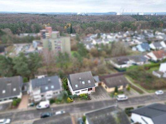 Vielseitiges Zweifamilienhaus in Dillingen, Pachtener Heide