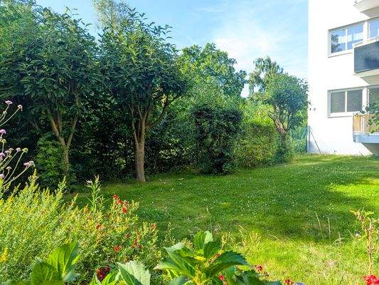 Grüne Wiese hinter dem Haus