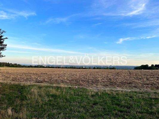 Feldrandlage mit Blick nach Mainz