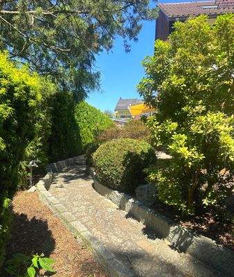 Weg zum Waldgrundstück