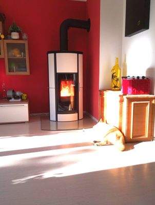 Pelletofen für gemütliche Wintertage