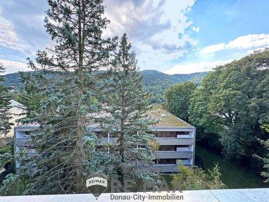 01 Ausblick Loggia_a