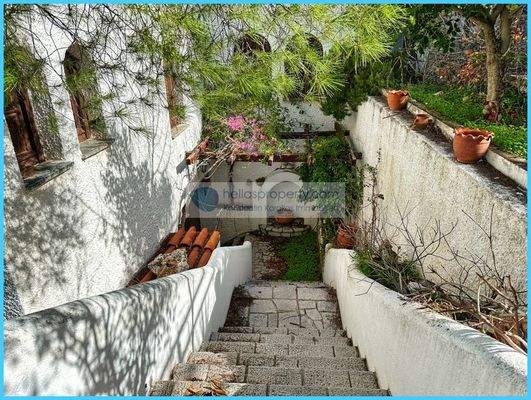 3982fdaacff94149ace693aa248da032-original