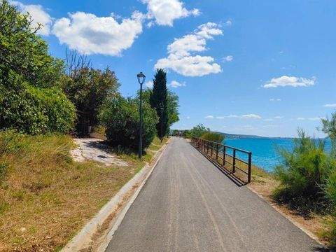 Zadar Bauernhöfe, Landwirtschaft, Zadar Forstwirtschaft