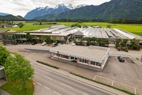 Thüringen Halle, Thüringen Hallenfläche