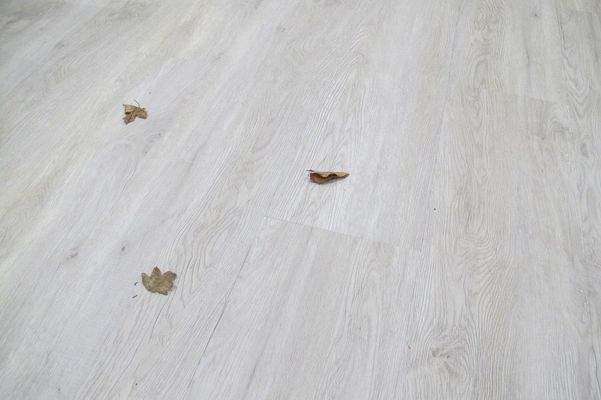 hochwertiger Designboden