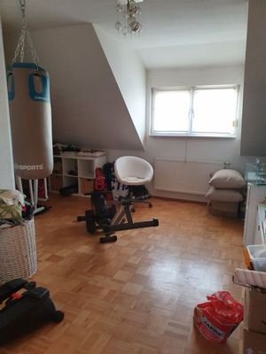 Zimmer DG 