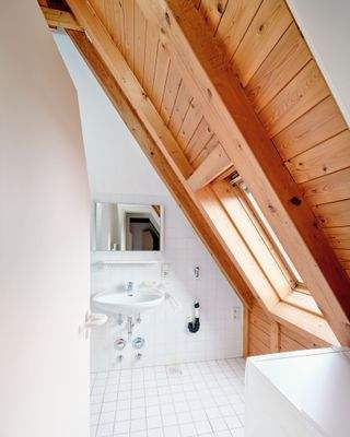 Tageslichtbad praktisch im Schnitt