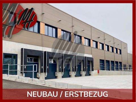 Bielefeld Halle, Bielefeld Hallenfläche