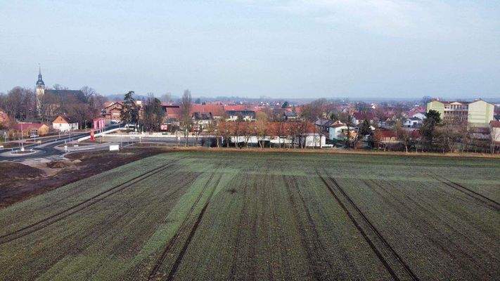 dji_fly_20250209_105448_291_1739096158496_photo_op