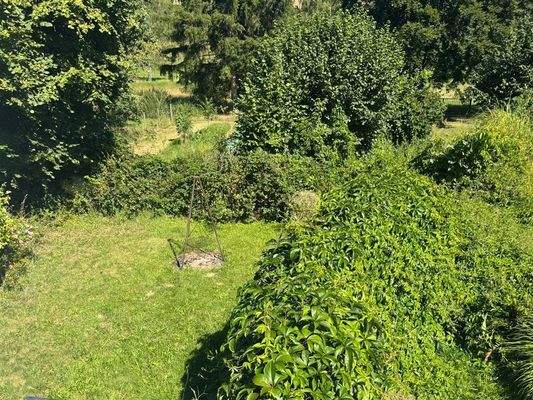 PHOTO-2025-08-09-15-14-01