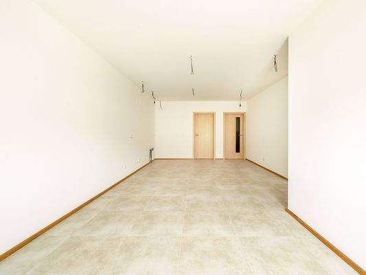 Einliegerwohnung Wohn- und Kochbereich