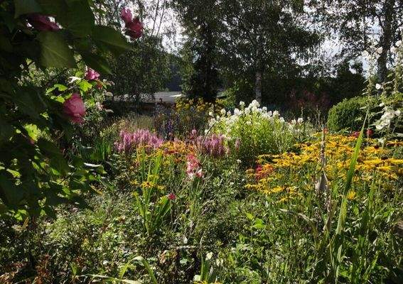 Bauerngarten im Sommer