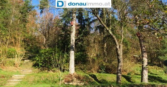 Bild 35