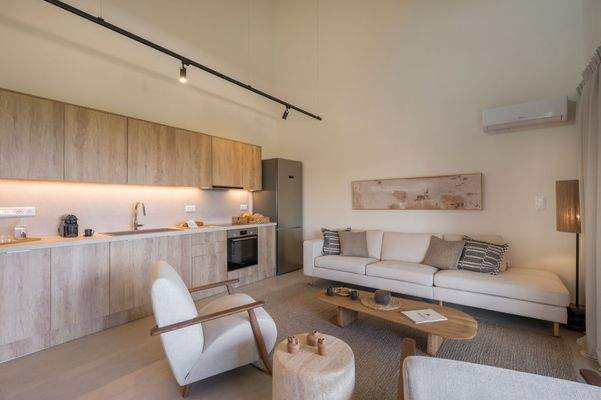 Olive Courtyard Collection