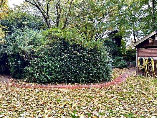 Garten im hinteren Bereich