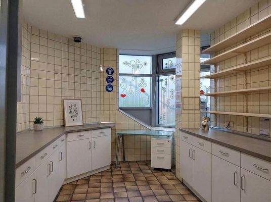 Küchenbereich/Labor